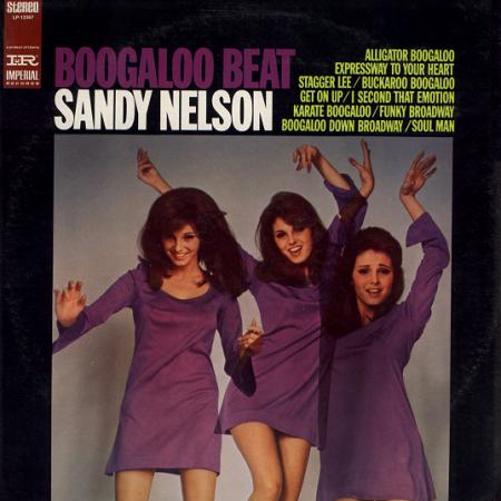 SANDY NELSON